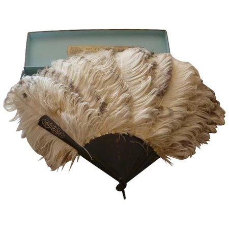 Delicious 19th C. French celluloid ostrich feather fan in original box : French faded-grandeur | Ruby Lane