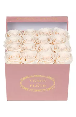 Venus ET Fleur Classic Small Square Eternity Roses | Nordstrom