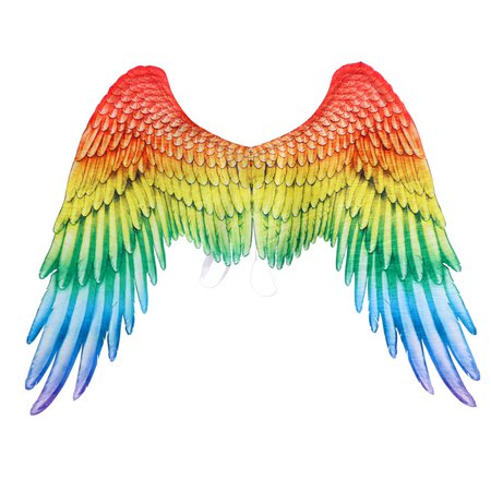 New Gay Pride Parade Angel Rainbow Wing costume chothing LGBT Gay Rainbow Wings for Adult gay Lesbians Carnival halloween party|Movie & TV costumes| - AliExpress