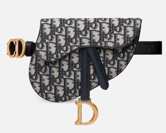 Dior Fanny pack