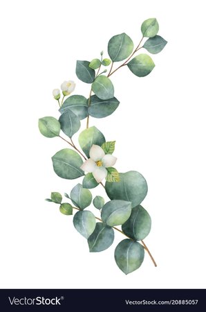 Watercolor wreath with green eucalyptus Royalty Free Vector