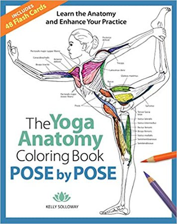 Pose by Pose: Learn the Anatomy and Enhance Your Practice (Volume 2) (The Yoga Anatomy Coloring Book): Solloway, Kelly, Stutzman, Samantha: 9781684620135: Amazon.com: Books