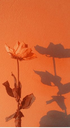 orange tumblr wallpaper - Google'da Ara