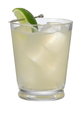 Elderflower Liqueur | Elderflower Liqueur Cocktails | Stgermain_US US