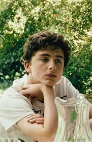 call me by your name elio - Google Search