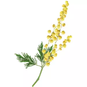 yellow flower embellishment