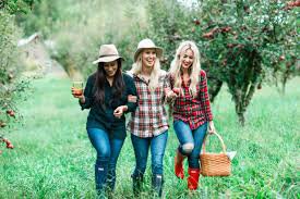 apple picking day images - Google Search
