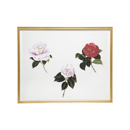 Remastered 19th C. Chinese Flowers – Paloma and Co.