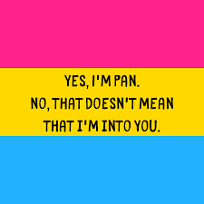 pansexual quote png - Google Search