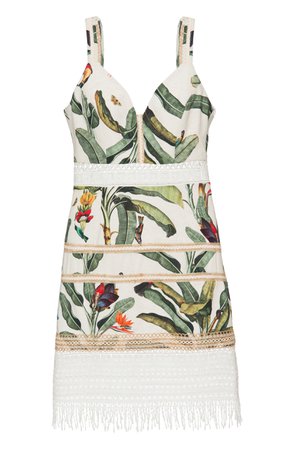 PatBO Tropical Print Lace Trim Mini Dress