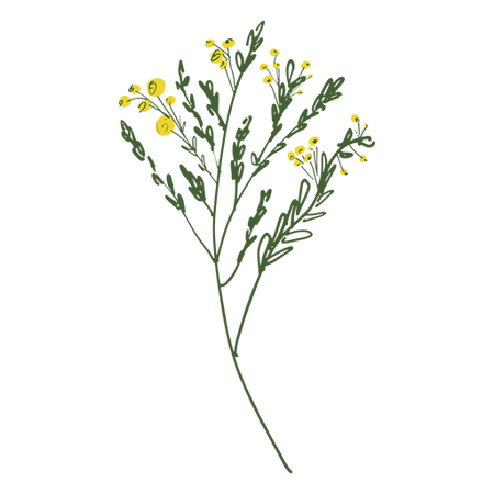 Little Yellow Wild Flowers Color Stroke PNG & SVG Design For T-Shirts