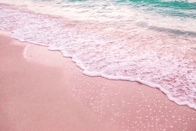 pink beach<33 (1000×667)