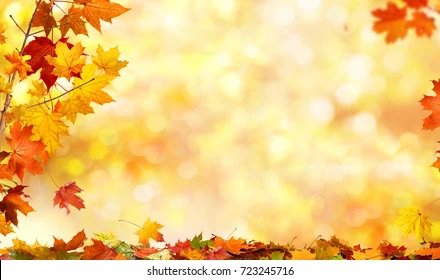 fall background 2