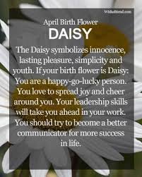 daisy april birth flower - Google Search