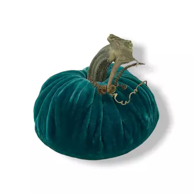 teal velvet pumpkins png - Google Search