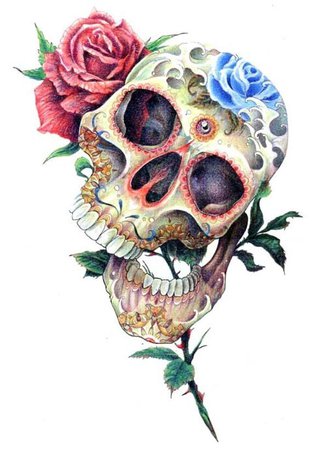 Stunning Skull Art