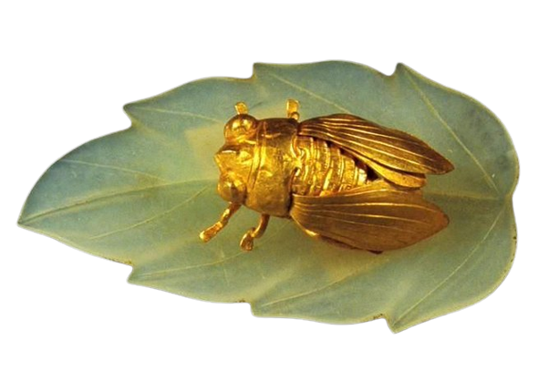 gold cicada
