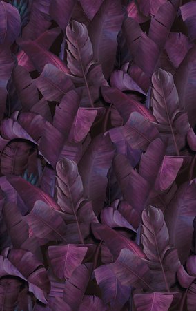 botany-tropical-vivid-violet.jpg (441×699)