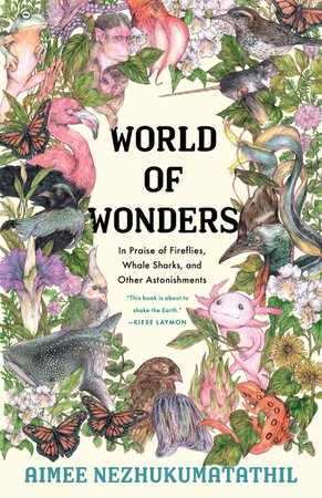 book cover - world of wonders