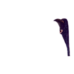 Black Hair PNG Ponytail