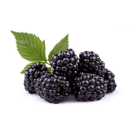 blackberries – Recherche Google