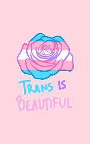 transgender wallpapers - Google Search