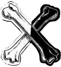Black and white crossbones