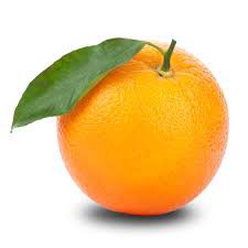 oranges - Google Search