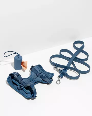 Harness Walk Kit | Dog Harness & Leash Kit | Wild One