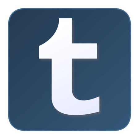2013 tumblr logo