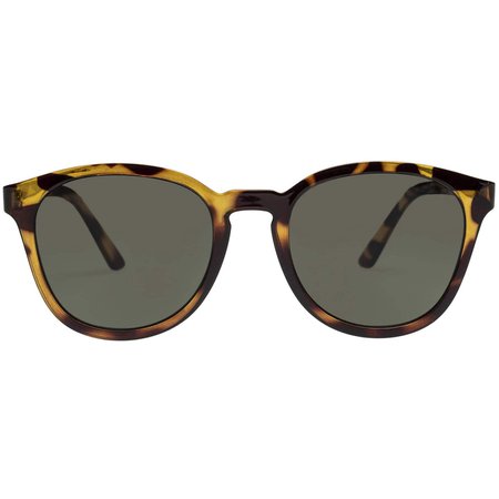 Renegade | Syrup Tort Sunglasses – Le Specs