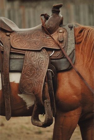 saddled horse ranch life