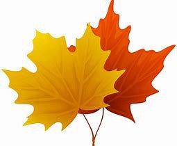 Autumn Leaves Clip Art - Bing images