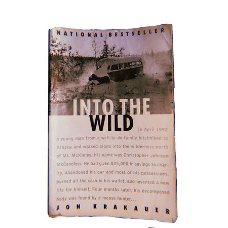 cias pngs // into the wild book