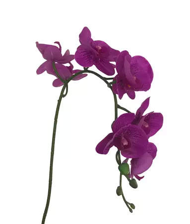 Artificial Real Touch Orchid Dark Purple – Wild Blooms