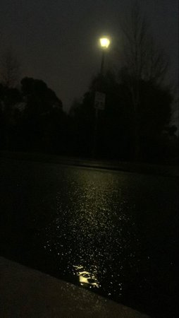 Rainy night light