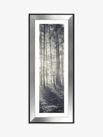 Assaf Frank - Through The Trees II Framed Print & Mount, 100 x 40cm at John Lewis & Partners