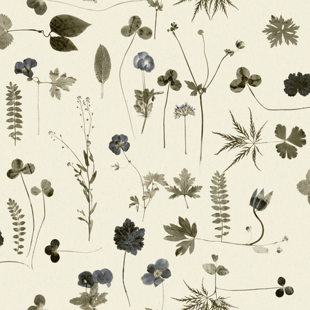Botanica wallpaper from Engblad & Co by Emma von Brömssen