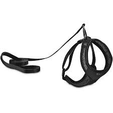 cat harness and lead - Google Search