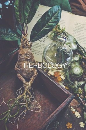 Herbology - Harry Potter - Aesthetic