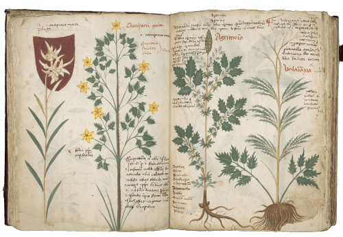 Codex Bellunensis, 1400