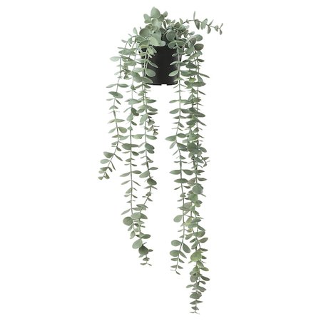 FEJKA Artificial potted plant - in/outdoor hanging, eucalyptus - IKEA