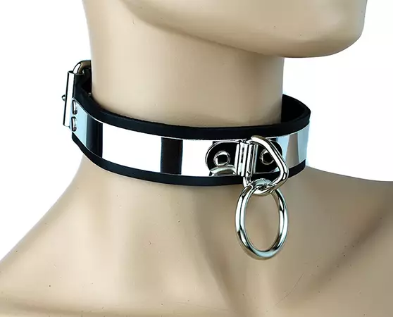 metal and leather collar