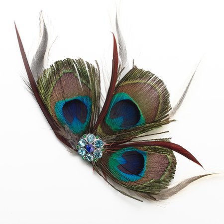 peacock feather accessories at DuckDuckGo