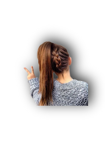 braid ponytails hairstyles
