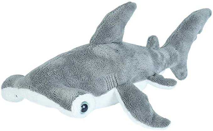 Amazon.com: Wild Republic Hammerhead Stuffed Animal, Plush Toy, Sea Animals, Gifts for Kids, Sea Critters 11" (21584): Toys & Games