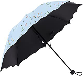 rainy umbrella