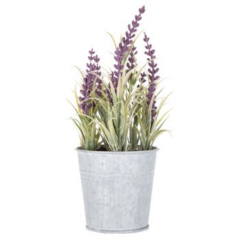 Mini Lavender Plant in Tin Bucket | Hobby Lobby | 1220763