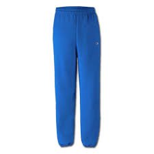 blue champion pants - Google Search