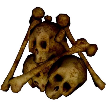 skulls & bones